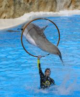 Loro Parque